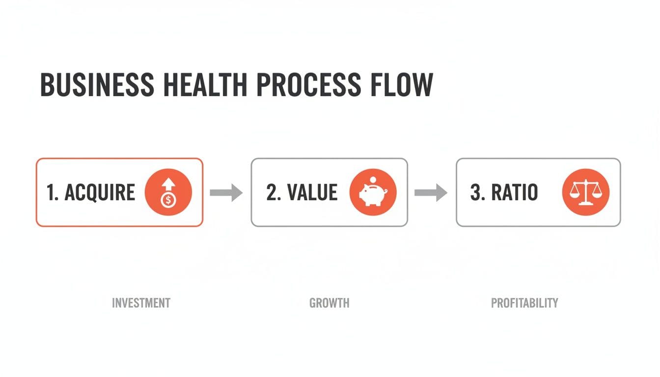A flowchart titled "Business Health Process Flow" showing three steps: 1. Acquire (investment), 2. Value (growth), and 3. Ratio (profitability), with icons representing each step.